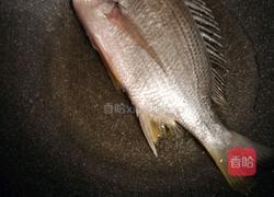 牦牛奶黄翅鱼汤的做法图解3