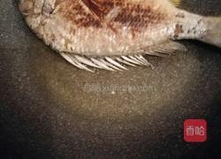 牦牛奶黄翅鱼汤的做法图解4