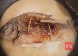 牦牛奶黄翅鱼汤的做法图解6