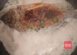 牦牛奶黄翅鱼汤的做法图解7