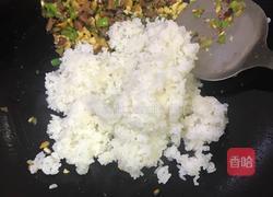 土猪香肠炒剩饭的做法图解4