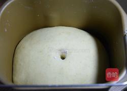 燕麦面包的做法图解6