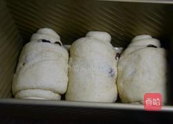 燕麦面包的做法图解12