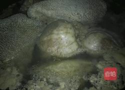 羊肉汤的做法图解1