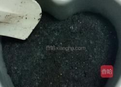 奶油奶酪(芝士)蛋糕的做法图解3