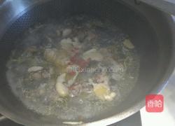 土鸡炖甲鱼的做法图解4