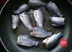 香煎鲫鱼的做法图解4