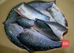 香煎鲫鱼的做法图解1