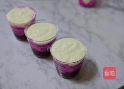 火龙果酸奶的做法图解8