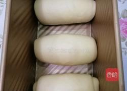 一次发酵牛奶吐司的做法图解13