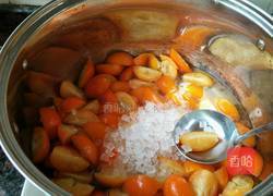 金桔膏的做法图解6