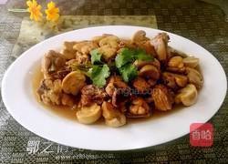 小鸡烧蘑菇的做法图解5