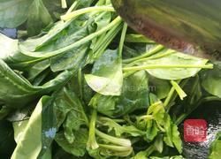 家常炝菠菜的做法图解4
