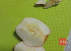 苹果纯牛奶汁的做法图解3