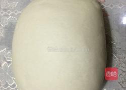 牛奶馒头--汉堡胚子的做法图解5
