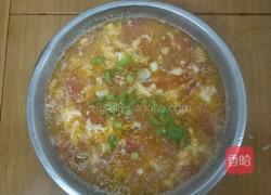 番茄蛋汤的做法图解6