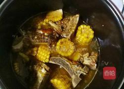 排骨炖玉米的做法图解11