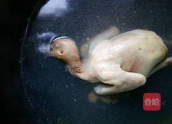 桂圆枸杞鸽子汤的做法图解4