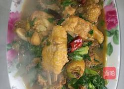 青菜烧鸡的做法图解10