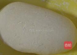 胡萝卜木耳猪肉蒸饺的做法图解8