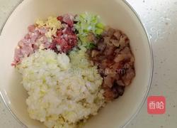 白菜猪肉虾仁饺和白菜猪肉海参饺的做法图解2