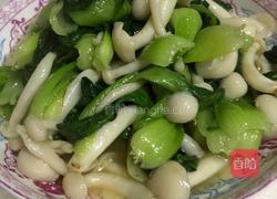 青菜炒蘑菇的做法图解8