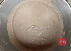 可可淡奶油冰淇淋的做法图解9