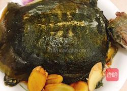 清炖甲鱼的做法图解8