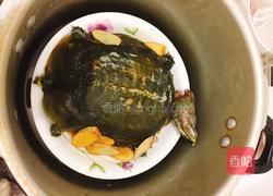 清炖甲鱼的做法图解9
