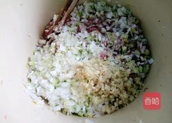 羊肉胡萝卜馅的做法图解6