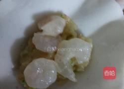 水晶鸡肉饺的做法图解17