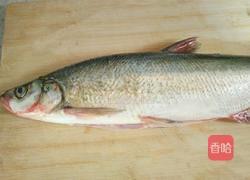 孔雀开屏的做法图解1