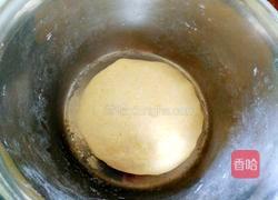 玉米面馒头的做法图解5