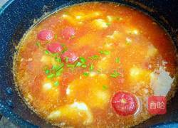 番茄鱼汤的做法图解15