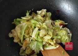 耗油手撕包菜的做法图解6