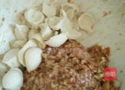 家常猪肉酿豆腐的做法图解4