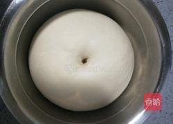 肉松面包的做法图解8