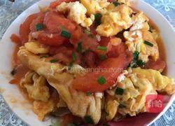 简单的番茄炒蛋的做法图解7