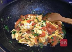 简单的番茄炒蛋的做法图解6