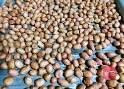 自制牛轧糖的做法图解1