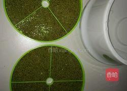 家常生豆芽的做法图解2