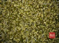 家常生豆芽的做法图解5