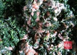 白苋菜饺子的做法图解4