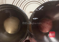 双色水立方吐司面包的做法图解4