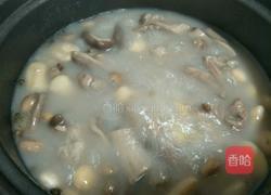 白果炖肚条的做法图解8