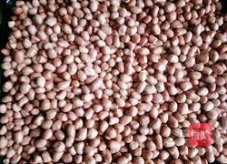 炒面(油茶)的做法图解4