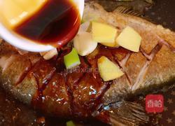 家常炖武昌鱼的做法图解8