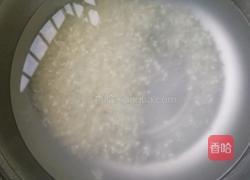 猪肝粉肠瘦肉粥的做法图解2