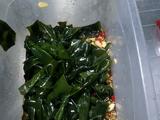 秘制海带结的做法[图]