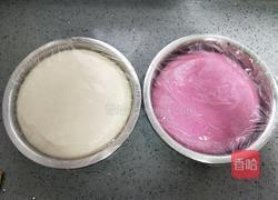 火龙果花卷的做法图解3